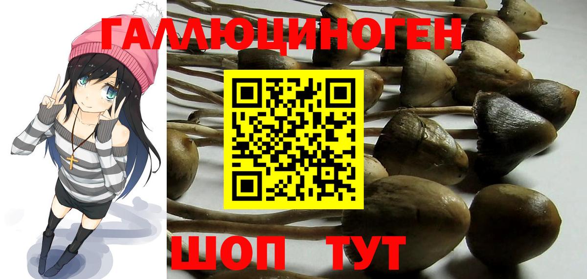 Белорецк  Псилоцибиновые грибы Psilocybine cubensis  Вход с VPN  Галлюциногенные грибы Cubensis 